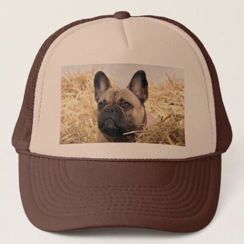 Kappe franzsische Bulldogge  Trucker Hat