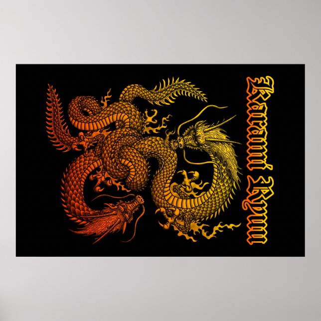 Karami Ryuu 1a Poster (Front)