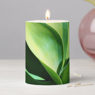 Kara's Stripes Agave Cactus Candle