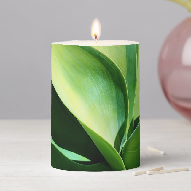 Kara's Stripes Agave Cactus Candle (In Situ)