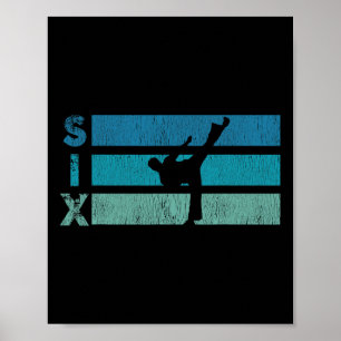 Karate Birthday 6 Year Year Taekwondo Boy 6th Birt Poster
