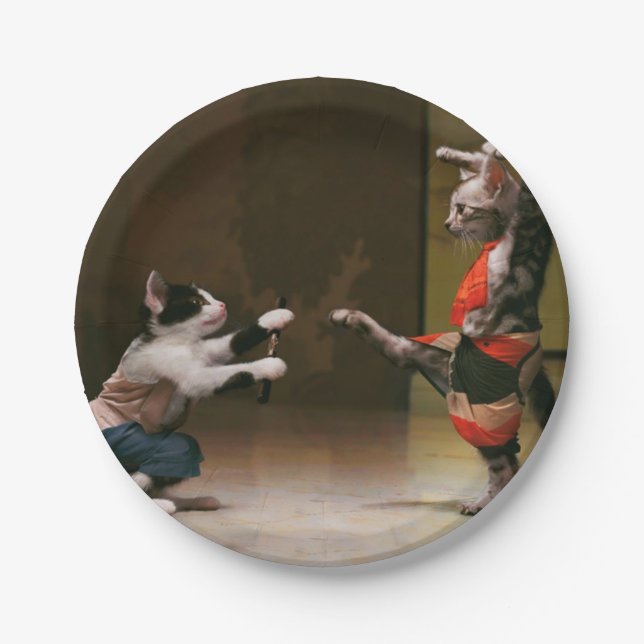Karate cats paper plates (Front)