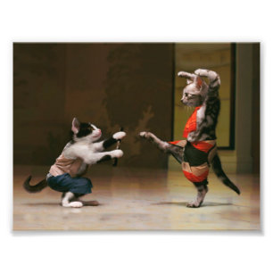 Karate cats photo print