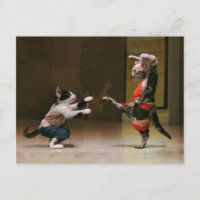 Karate cats