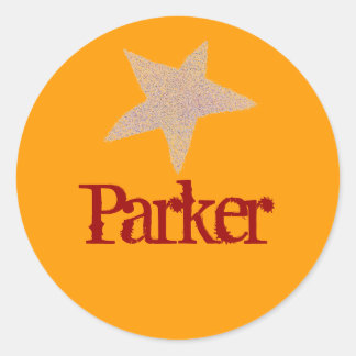 Karate Kat gold star ID sticker--to personalize Classic Round Sticker