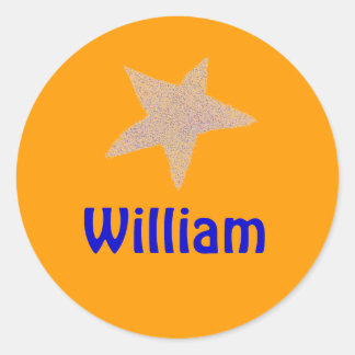 Karate Kat gold star ID--to personalize Classic Round Sticker