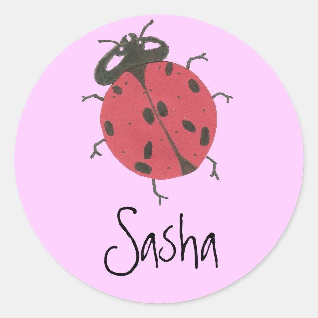 Karate Kat ladybug ID--to personalize Classic Round Sticker (Front)