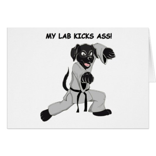 Karate Lab Cards (Front Horizontal)