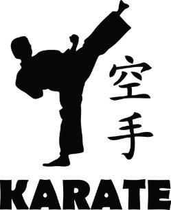 karate symbols accessories zazzle