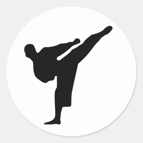 Karate  Taekwondo Kick Sticker