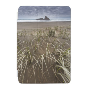 Karekare Beach   Panatahi Island, West Coast iPad Mini Cover