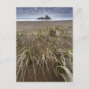 Karekare Beach   Panatahi Island, West Coast Postcard