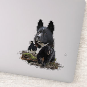Karelian Bear Dog Sticker