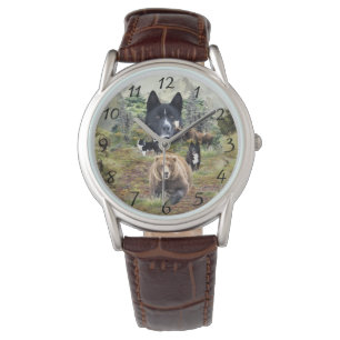 Karelian Bear Dog     Watch