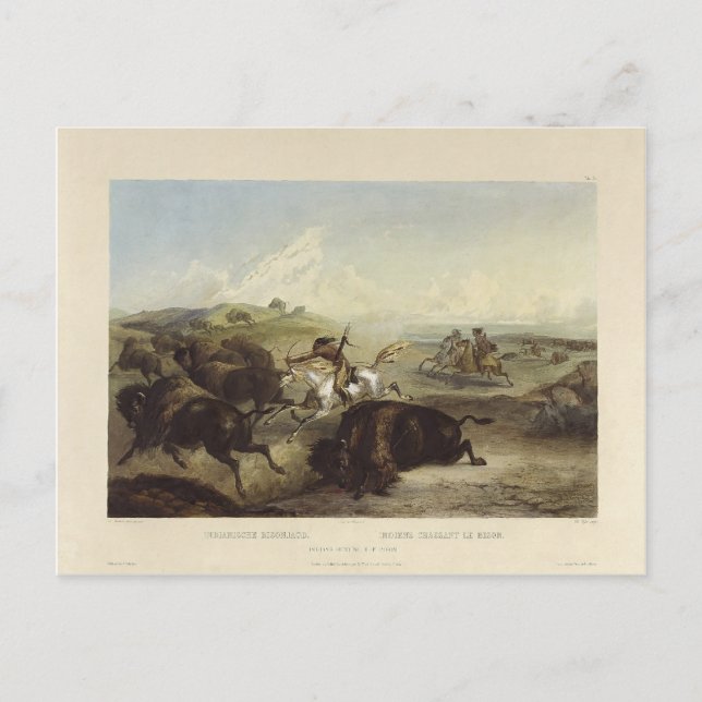 Karl Bodmer- Indians hunting the bison Postcard (Front)