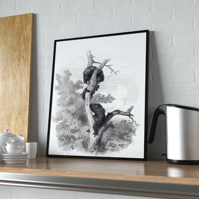 Karl Bodmer - Les Ours The Bears Poster (Creator Uploaded)