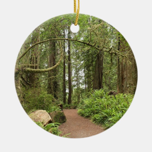 Karl Knapp Trail Ceramic Ornament (Front)
