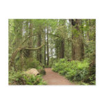 Karl Knapp Trail Postcard