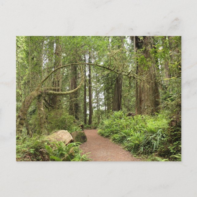Karl Knapp Trail Postcard (Front)