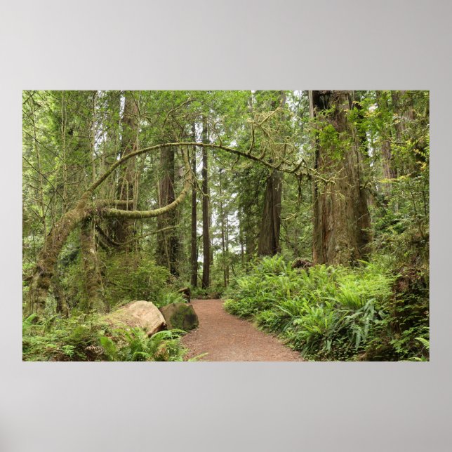 Karl Knapp Trail Poster (Front)