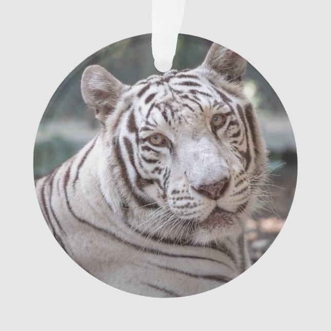 Karma - ornament (Front)