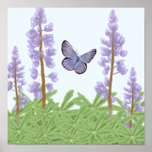 Karner Blue _ The Endangered with Wild Lupine Poster