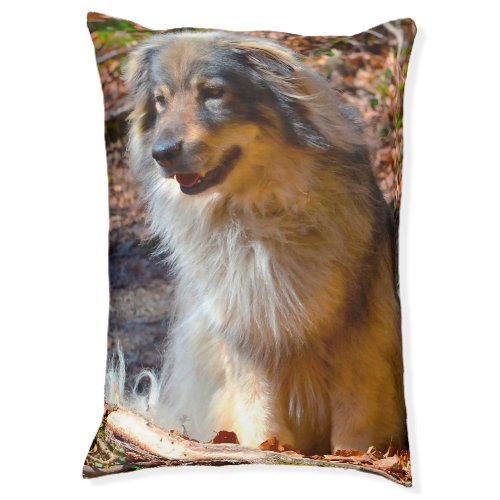 Karst Shepherd Dog Bed Pet Bed