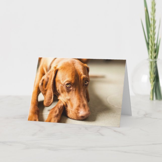 Karte mit Motiv "Magyar Vizsla" Card (Front)