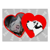 Karten für Ihre Fotos! (Front Horizontal)