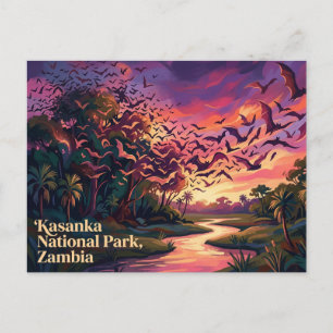 Kasanka National Park Zambia Postcard