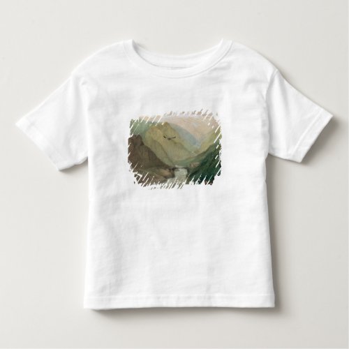 Kashmir c1860 toddler t_shirt