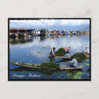 Kashmir, Srinagar - Dal Lake / India holiday Postcard