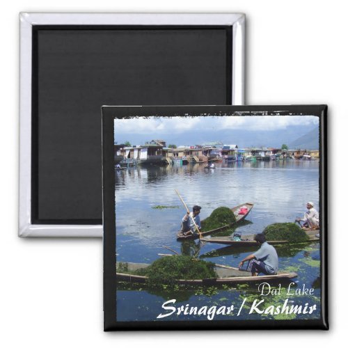 Kashmir Srinagar _ Shikara boats Magnet Magnet