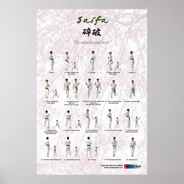 Kata Saifa - Goju Ryu version Poster (Front)