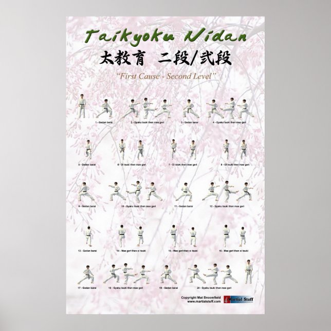 Kata Taikyoku Nidan - 2nd kata Poster (Front)