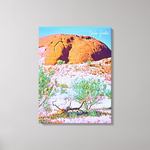 Kata Tjuta The Olgas Central Australia travel Canvas Print