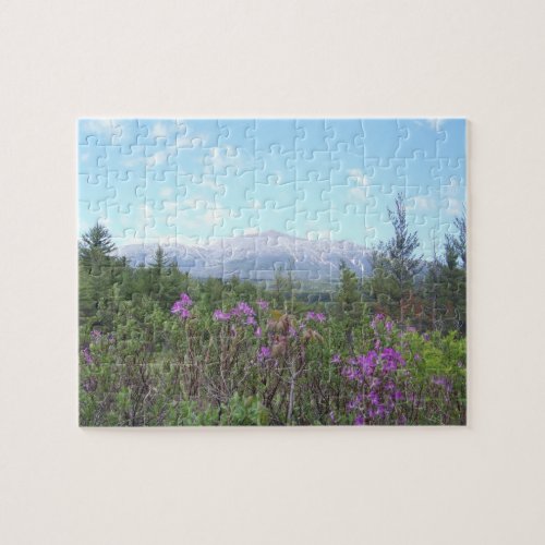 Katahdin and Purple Flowers Jigsaw Puzzle