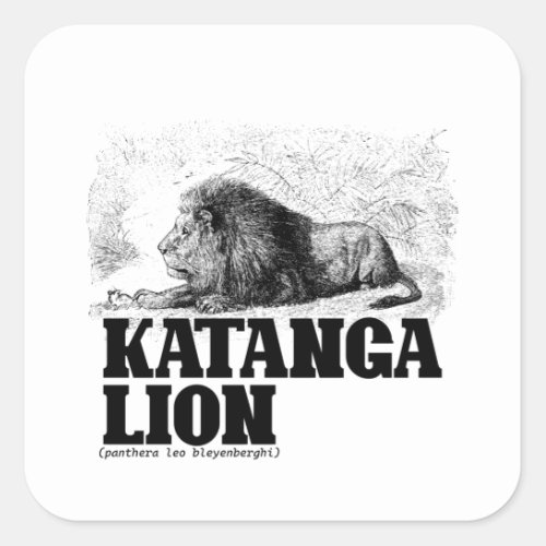 Katanga Lion Panthera Leo Bleyenberghi Square Sticker