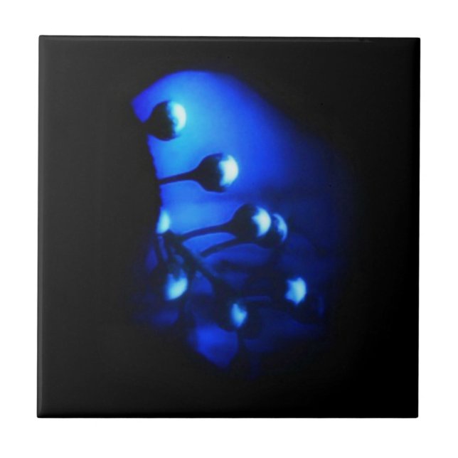 Kate Ceramic Tile (Front)