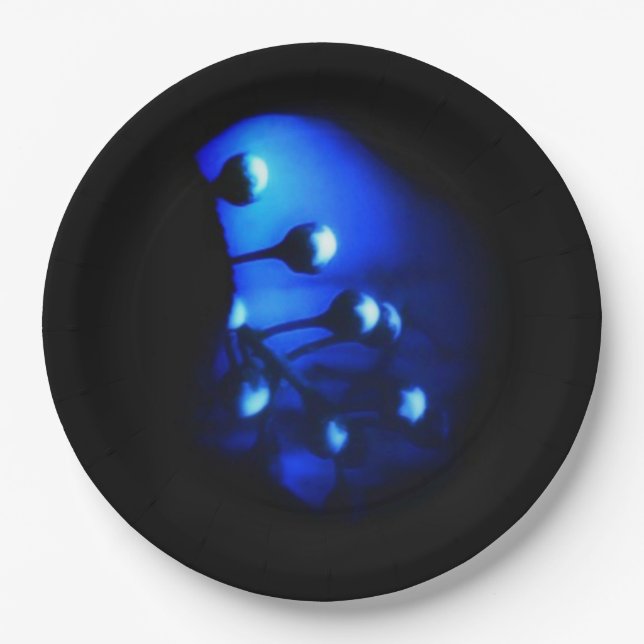 Kate Paper Plates (Front)