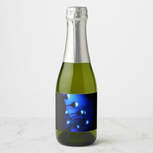 Kate Sparkling Wine Label