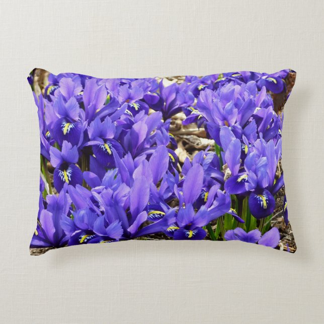 Katherine Hodgkin Irises Purple Spring Floral Accent Pillow (Front)