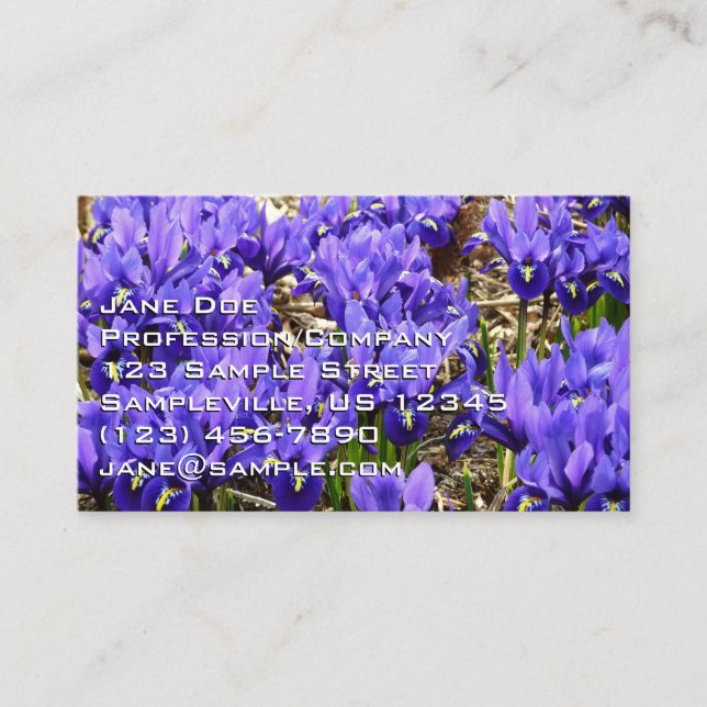 Katherine Hodgkin Irises Purple Spring Floral Business Card (Front)