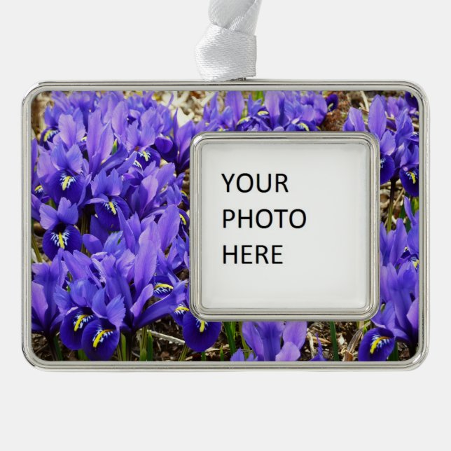 Katherine Hodgkin Irises Purple Spring Floral Christmas Ornament (Front)