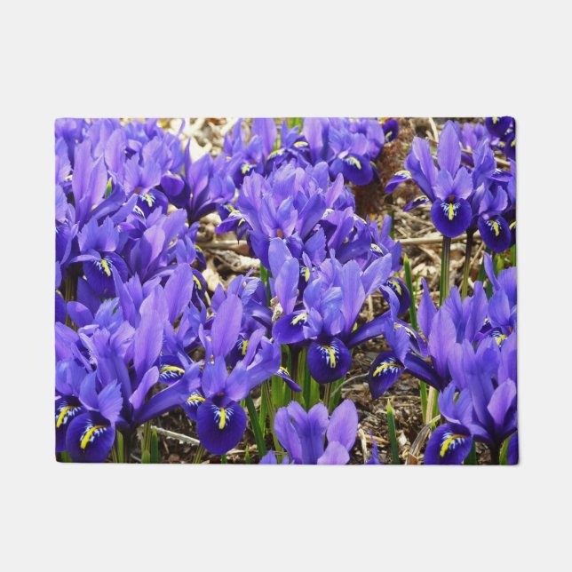 Katherine Hodgkin Irises Purple Spring Floral Doormat (Front)