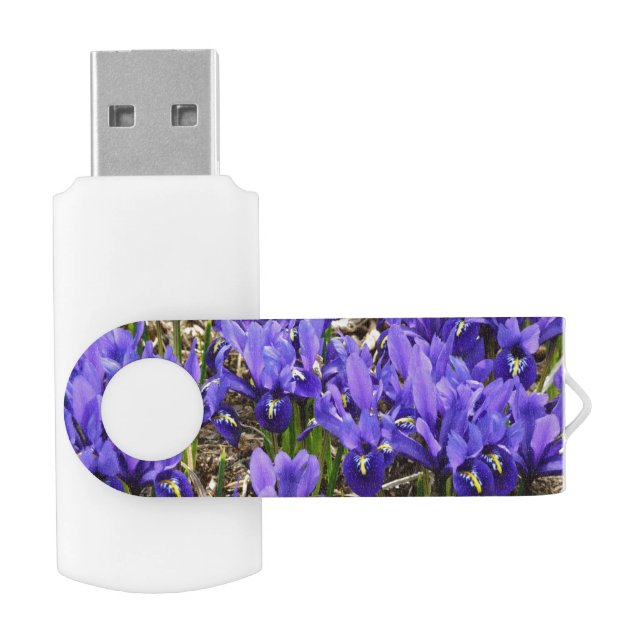 Katherine Hodgkin Irises Purple Spring Floral Flash Drive (Opened)