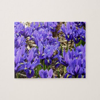 Katherine Hodgkin Irises Purple Spring Floral Jigsaw Puzzle by mlewallpapers at Zazzle