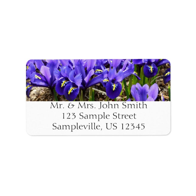Katherine Hodgkin Irises Purple Spring Floral Label (Front)