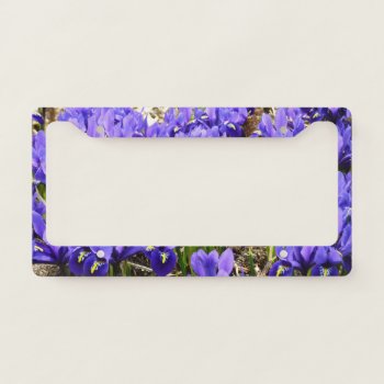 Katherine Hodgkin Irises Purple Spring Floral License Plate Frame by mlewallpapers at Zazzle