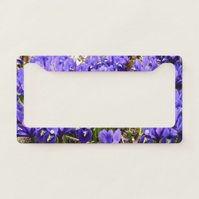 Katherine Hodgkin Irises Purple Spring Floral License Plate Frame (Front)